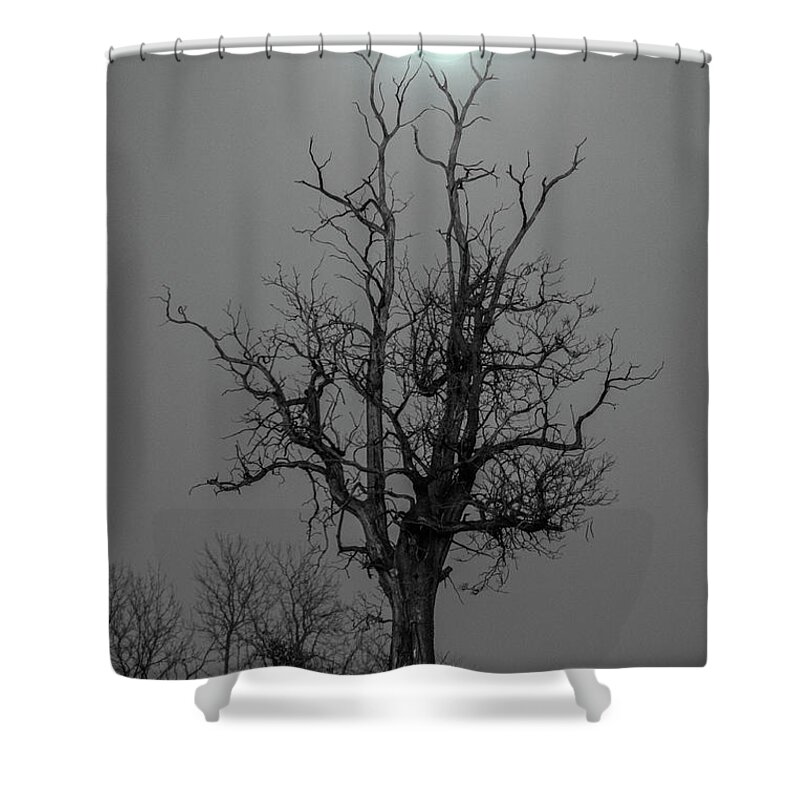 Moon Shower Curtain featuring the photograph The Hold Up by Grant Twiss
