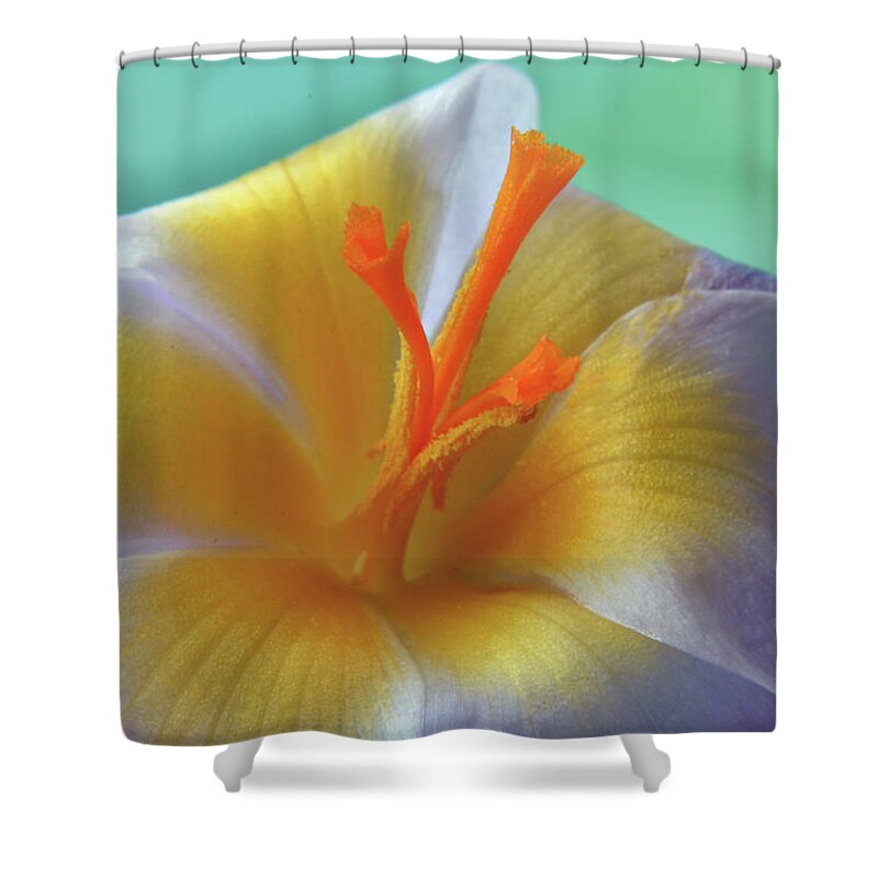 Crocus Shower Curtain featuring the photograph The Interior Design Of Crocus by Terence Davis