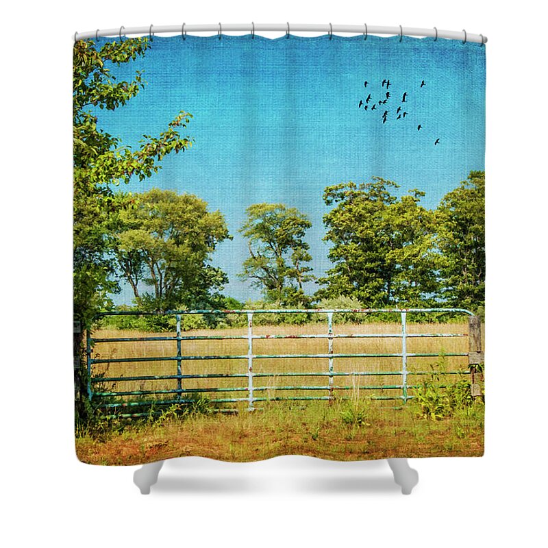 Gate Shower Curtain featuring the photograph The Iron Gate 8622 by Cathy Kovarik