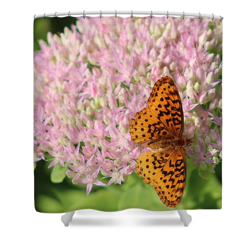 Flower Shower Curtain featuring the photograph The Last Flower of Summer by Christopher Reed