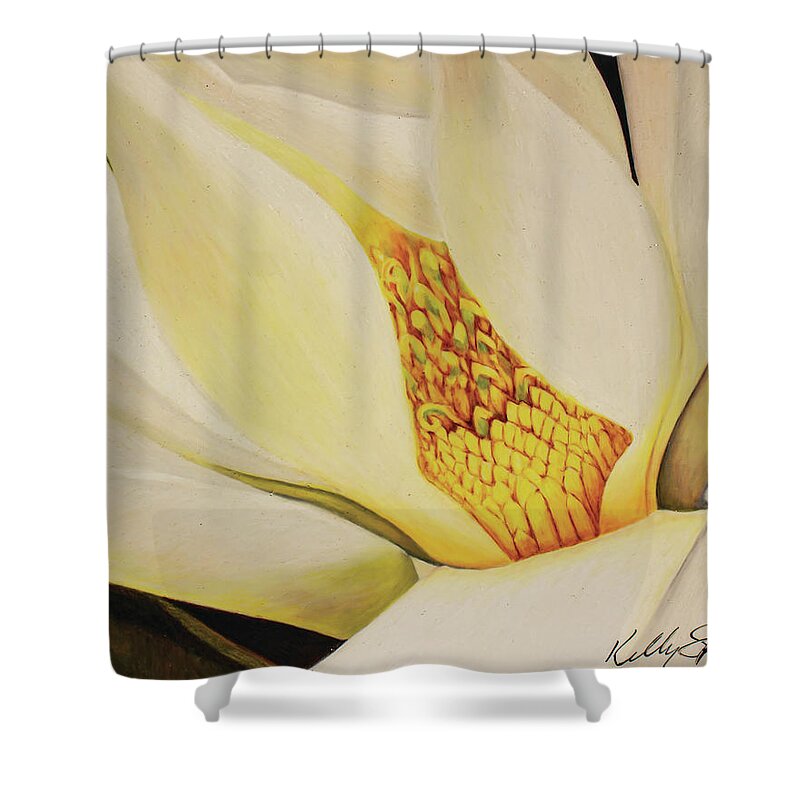 Magnolia Shower Curtain featuring the drawing The Last Magnolia by Kelly Speros