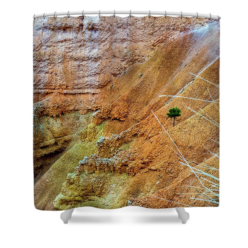 Bryce Canyon Shower Curtain featuring the photograph The Lone Tree by Leslie Struxness