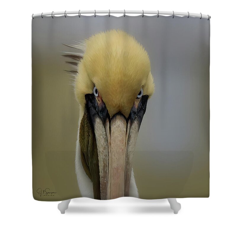 Pelican Shower Curtain featuring the photograph The Look by JASawyer Imaging