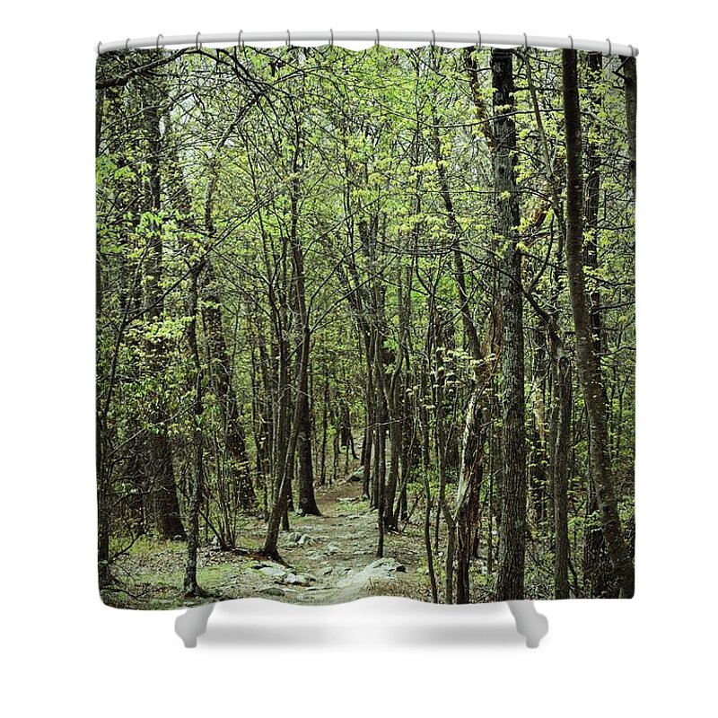 Forest Shower Curtain featuring the photograph The Magic Forest by Roberta Byram