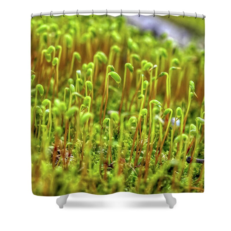 Tiny Shower Curtain featuring the photograph The Moss Universe by Lara Ellis