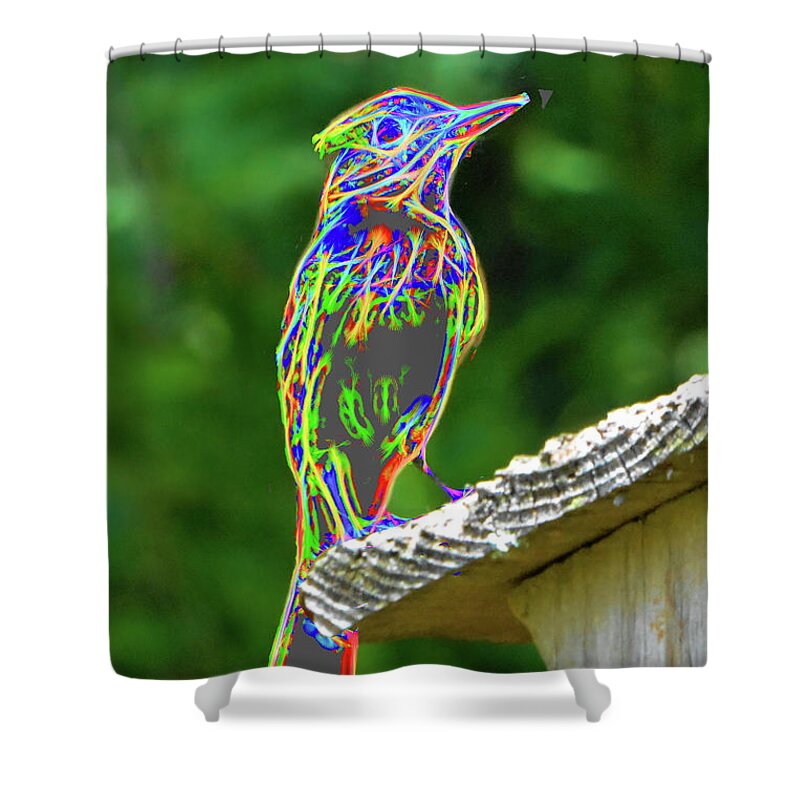 Bird Shower Curtain featuring the photograph The Neon Bird by Jerry Griffin