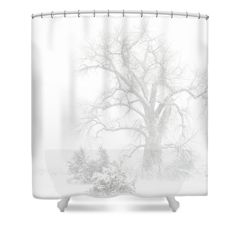 Tree Shower Curtain featuring the photograph The Old Man by Darren White