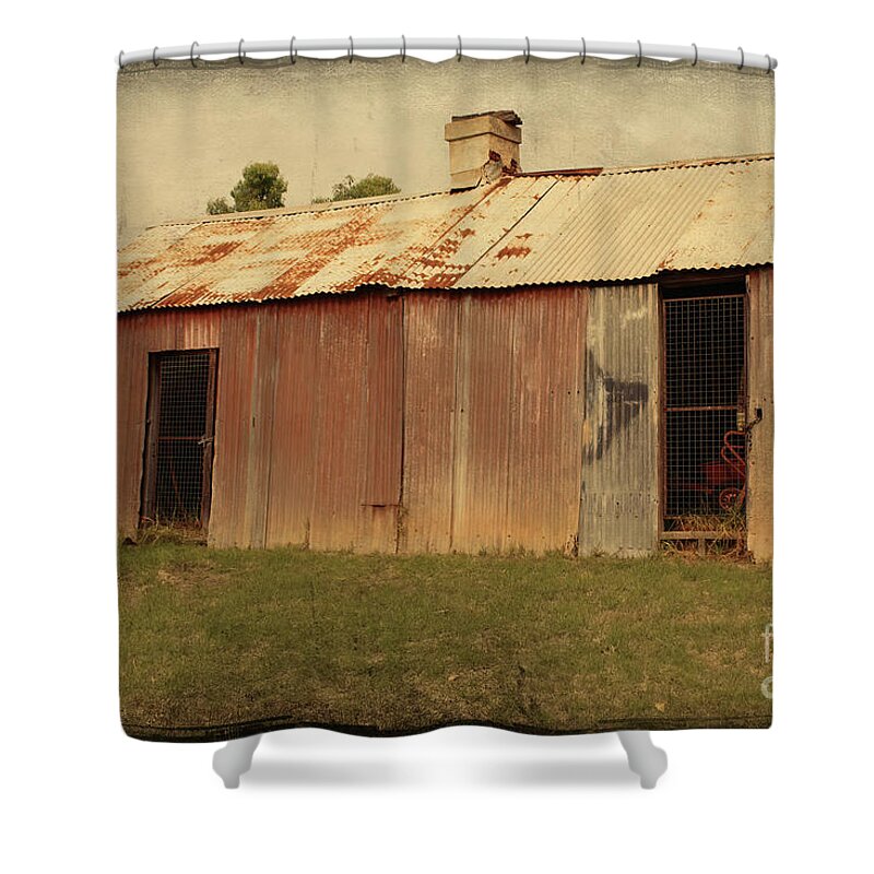 Texture Shower Curtain featuring the photograph The Old Shed by Elaine Teague