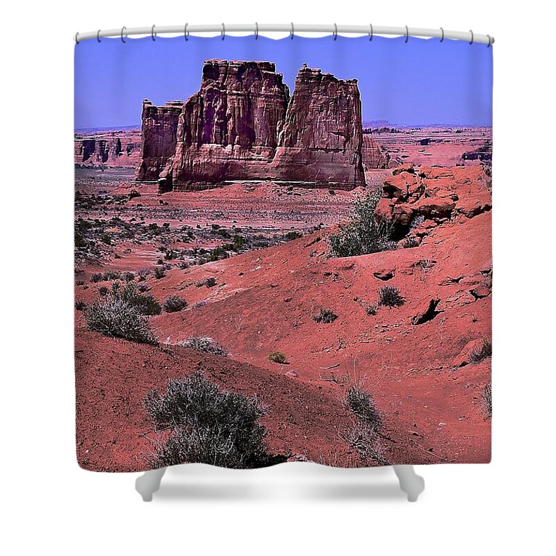 Red Soil Shower Curtain featuring the photograph The Organ Landscape by Randy Pollard