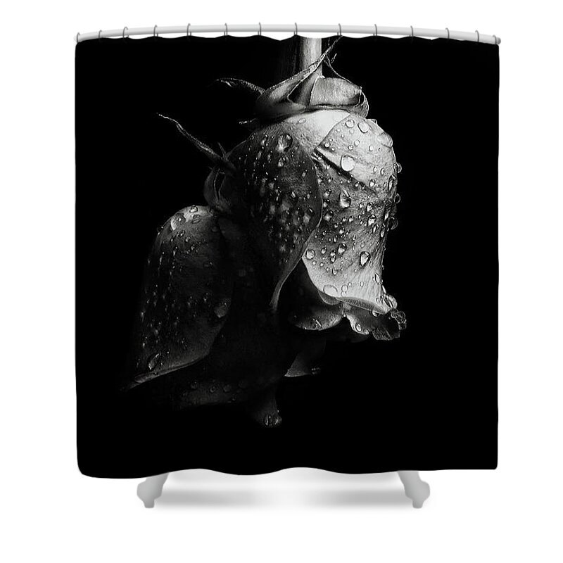 Published Shower Curtain featuring the photograph The Passion of Life by Enrique Pelaez