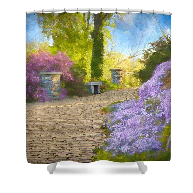  Shower Curtain featuring the photograph The Path by Jack Wilson