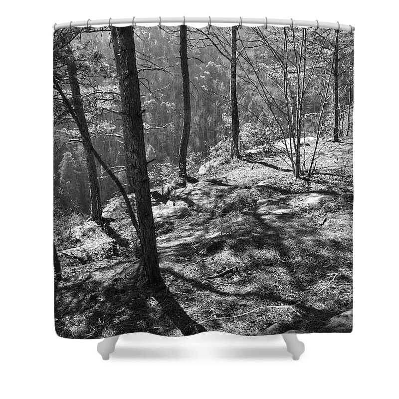 Obed Shower Curtain featuring the photograph The Point Trail Black And White by Phil Perkins