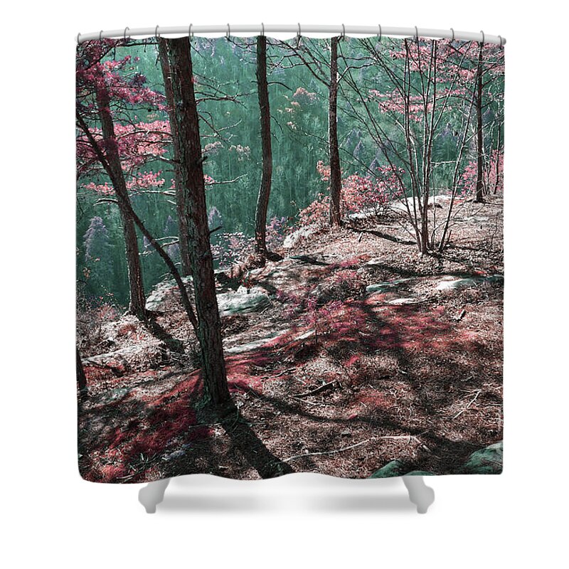 Obed Shower Curtain featuring the photograph The Point Trail Infrared by Phil Perkins