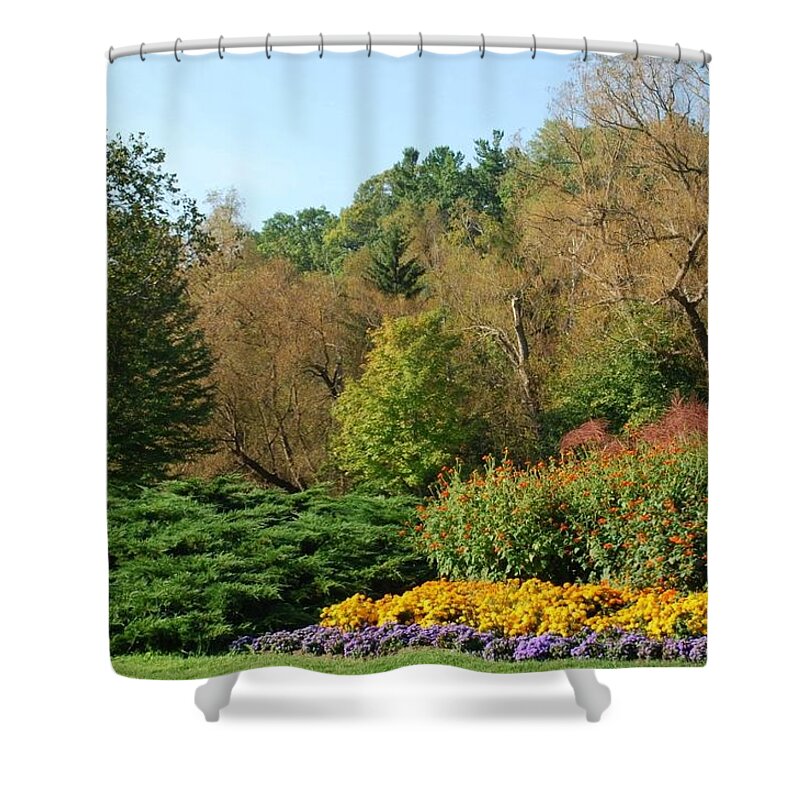 Trees Shower Curtain featuring the photograph The Power Of Abundance by Ee Photography