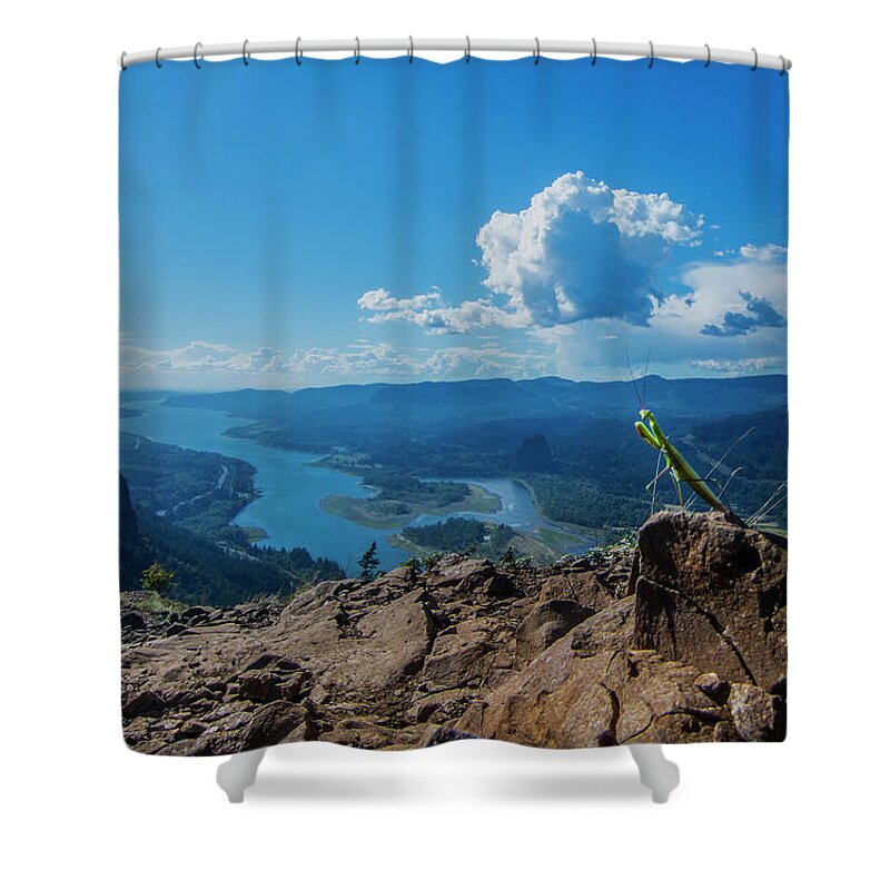 Animal Shower Curtain featuring the photograph The Praying Mantis of Munra Point by Pelo Blanco Photo