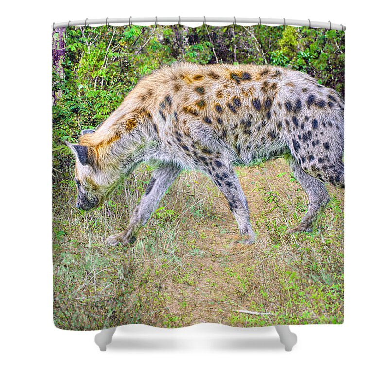 African Animals Shower Curtain featuring the photograph The Prowler by Judy Kay