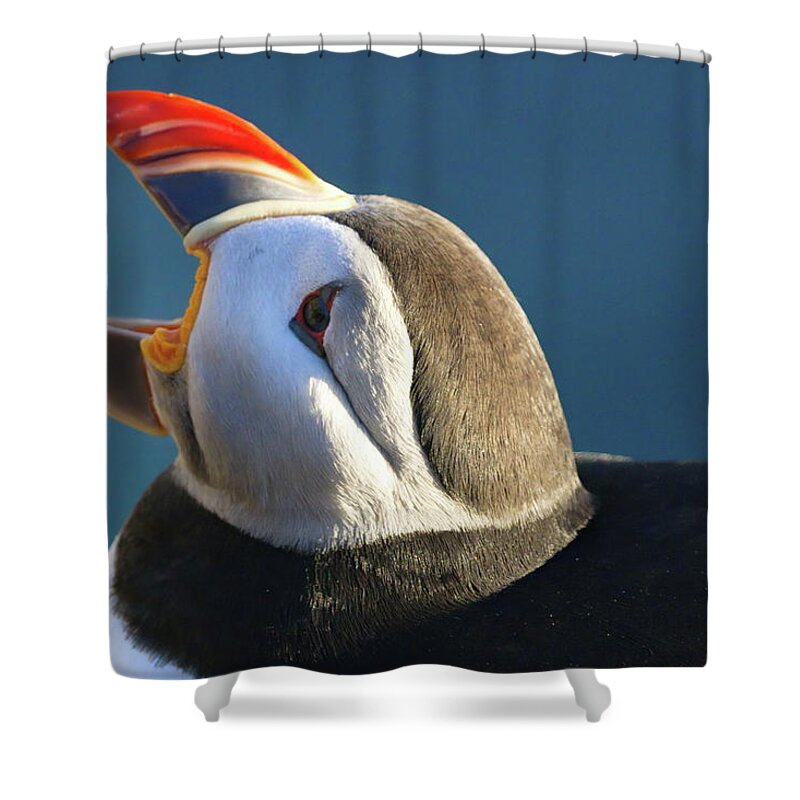 Iceland Shower Curtain featuring the photograph The puffin speaks by Christopher Mathews