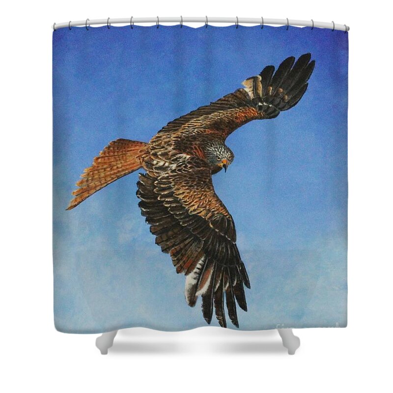Red Kite Shower Curtain featuring the painting The Red Kite by Bob Williams