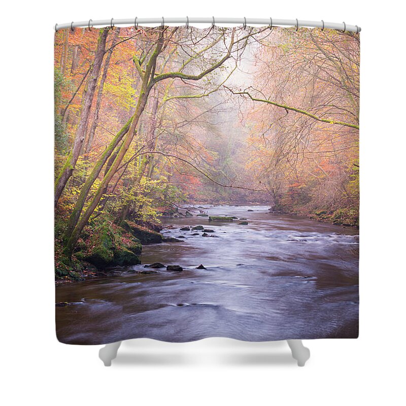 River Shower Curtain featuring the photograph The River in Autumn by Anita Nicholson