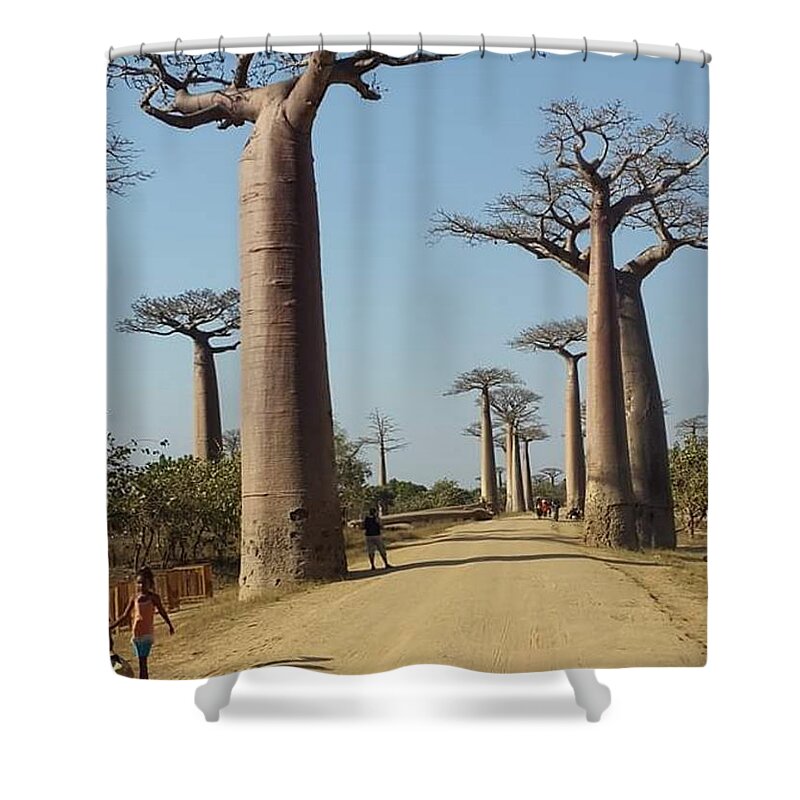 All Shower Curtain featuring the digital art The Road in Baobab Alley in Madagascar KN49 by Art Inspirity