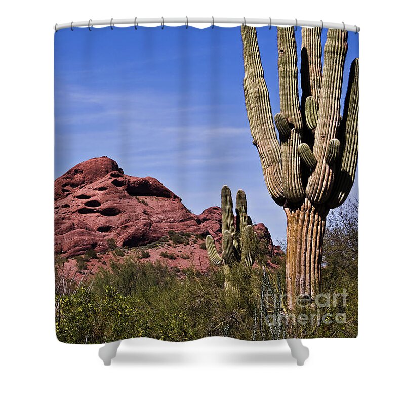 Cactus Shower Curtain featuring the photograph The Saguaro Cacti and Red Rocks by Kirt Tisdale