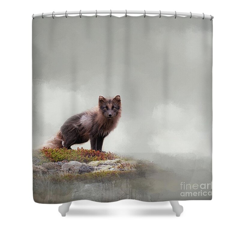 Arctic Fox Shower Curtain featuring the photograph The Shy Arctic Fox by Eva Lechner