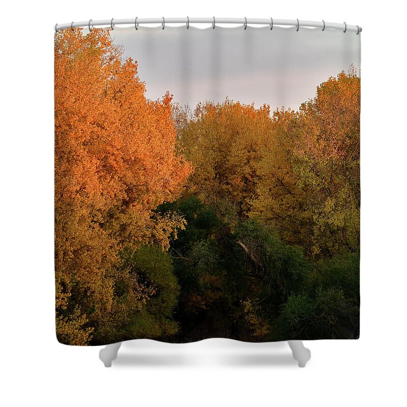 Fall Shower Curtain featuring the photograph The Sousa Marsh Trail in San Luis NWR by Amazing Action Photo Video