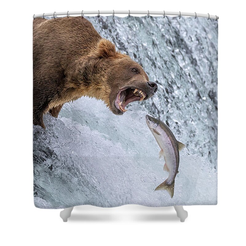 Bear Shower Curtain featuring the photograph The Space Between - Horizontal Crop by Randy Robbins