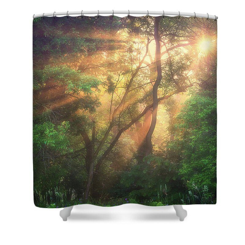 Sunrise Shower Curtain featuring the photograph The Sun Rays by Henry w Liu