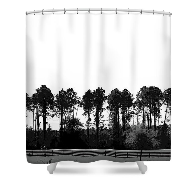 Trees Shower Curtain featuring the photograph The Trees by Neala McCarten