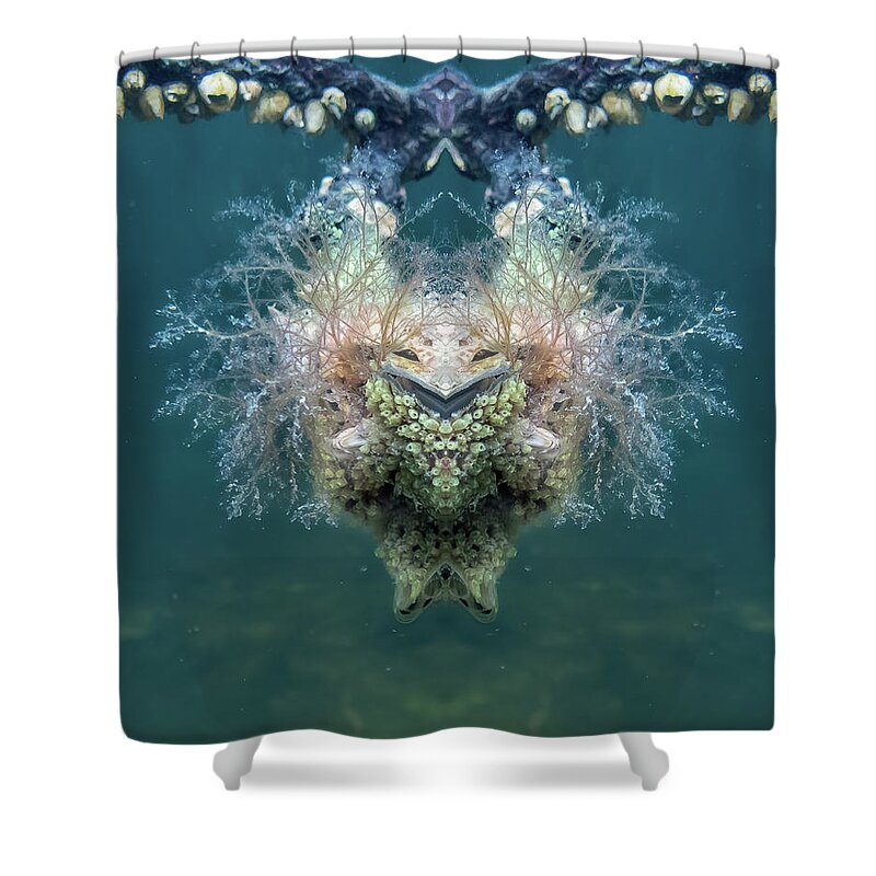 Magical Creature Shower Curtain featuring the photograph The Tunicate God Laughs by Louise Lindsay