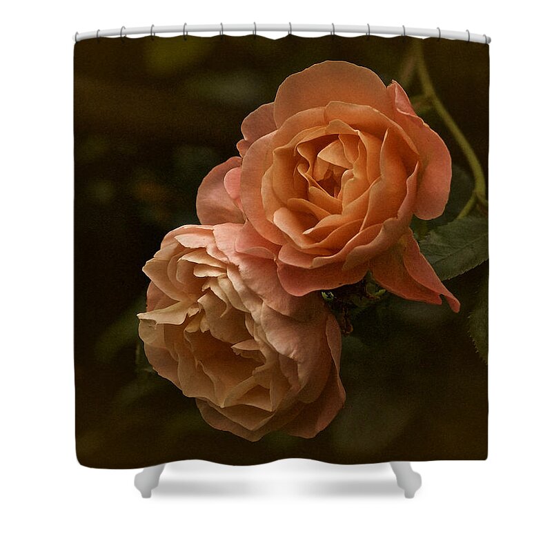 Roses Shower Curtain featuring the photograph The Two Roses by Richard Cummings