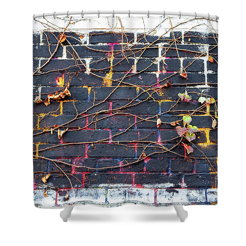 Abstracts Shower Curtain featuring the photograph The Underpainter by Marilyn Cornwell