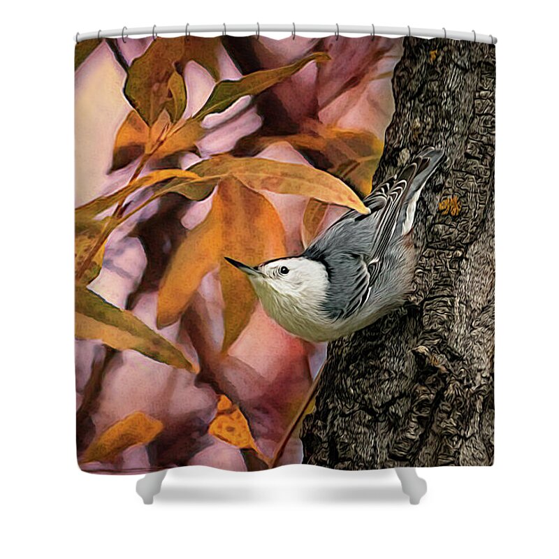 Nuthatch Shower Curtain featuring the photograph The Upside Down Percher by Debra Martz