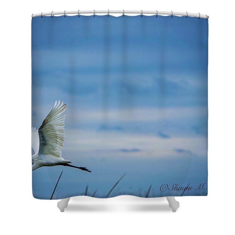 Bird Shower Curtain featuring the photograph The V of the Blue by Shawn M Greener