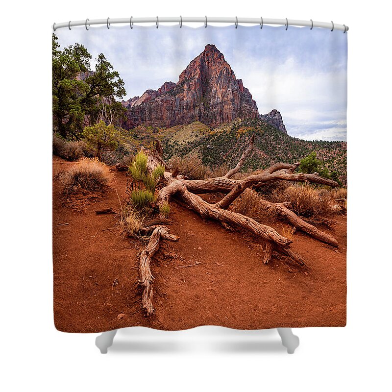 545 Foot Shower Curtain featuring the photograph The Watchman's Roots by Michael Scott