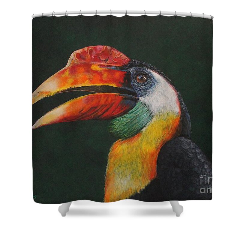 Horn Bill Shower Curtain featuring the painting The Wrinkled Hornbill by Bob Williams
