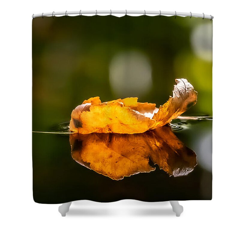 Leaf Shower Curtain featuring the photograph There was this Leaf by Linda Bonaccorsi
