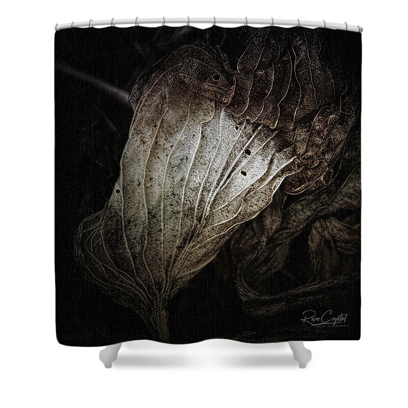 Hosta Shower Curtain featuring the photograph There's Beauty In the Ending, Too by Rene Crystal