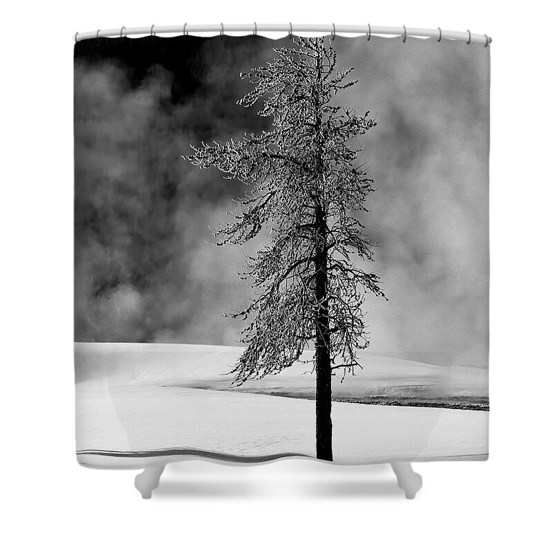 Tall Tree Shower Curtain featuring the photograph Thermal Ice by Art Cole