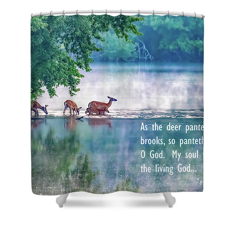 Deer Shower Curtain featuring the photograph Thirsty for More Than Water by Marcy Wielfaert