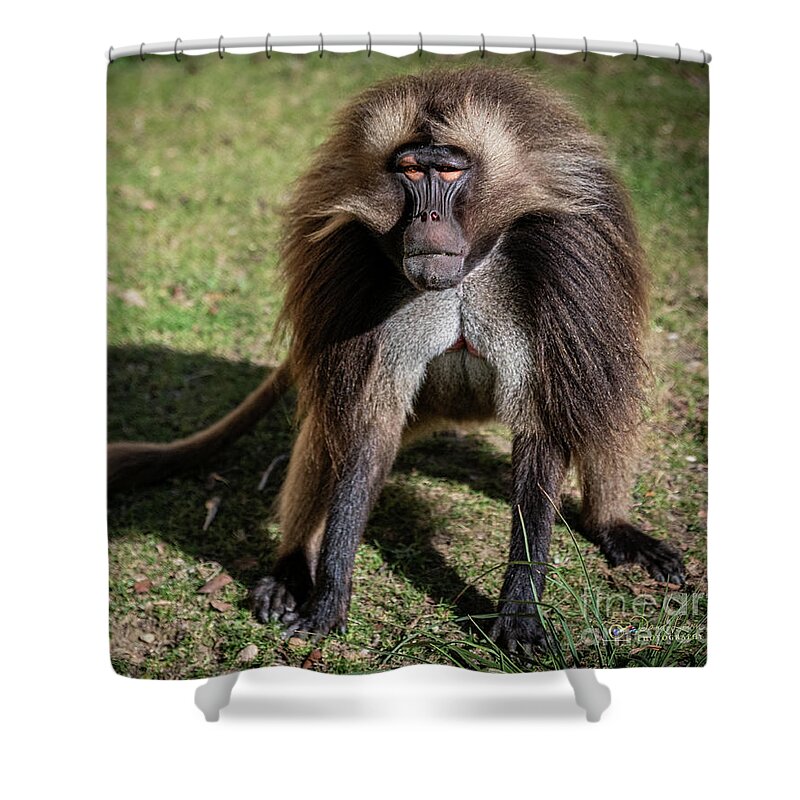 David Levin Photography Shower Curtain featuring the photograph This is How I Look When I'm Happy by David Levin
