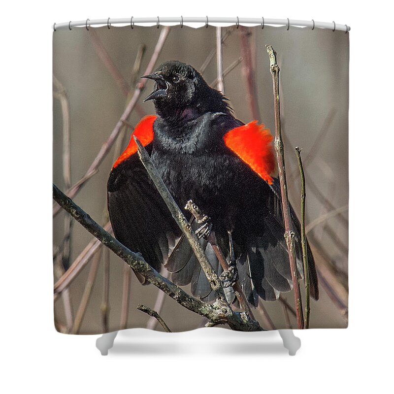 Marsh Shower Curtain featuring the photograph This Is MY Marsh DSB035 by Gerry Gantt
