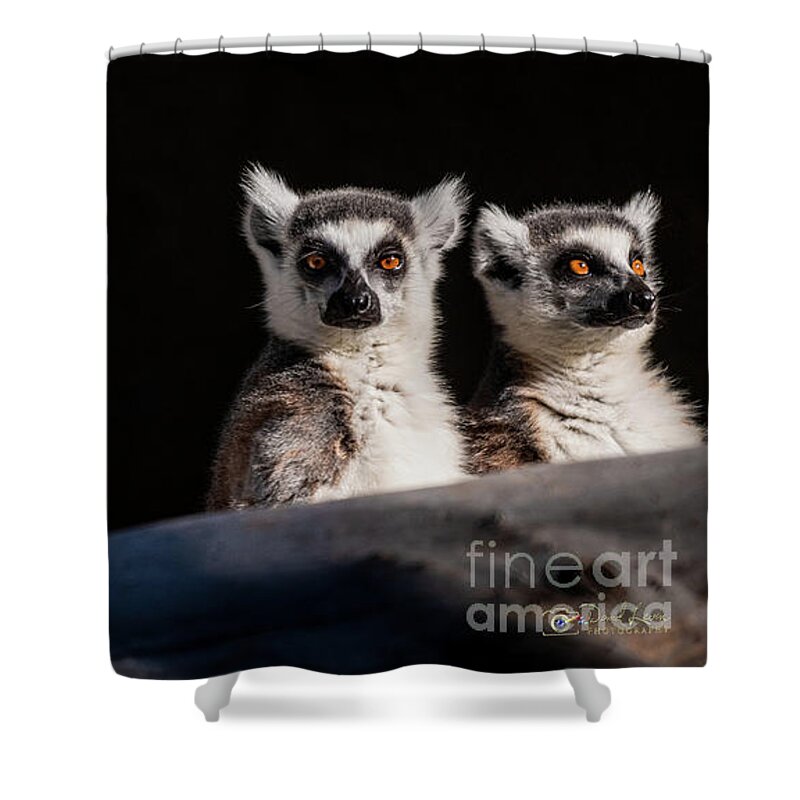 David Levin Photography Shower Curtain featuring the photograph This Spot's for You by David Levin
