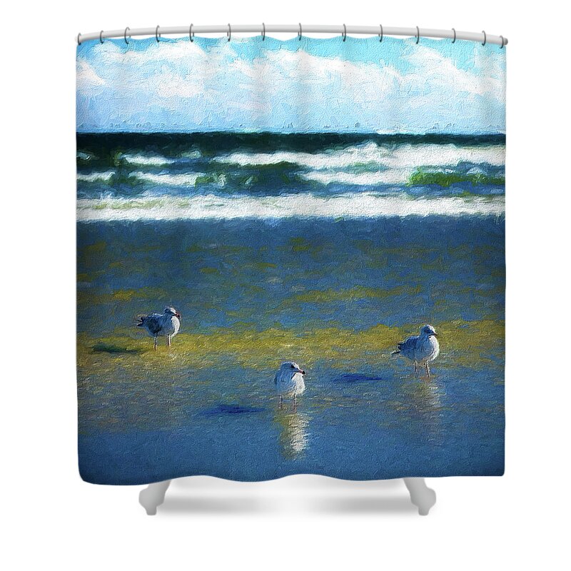 Beach Shower Curtain featuring the photograph Three Birds on Outer Banks Beach ap by Dan Carmichael