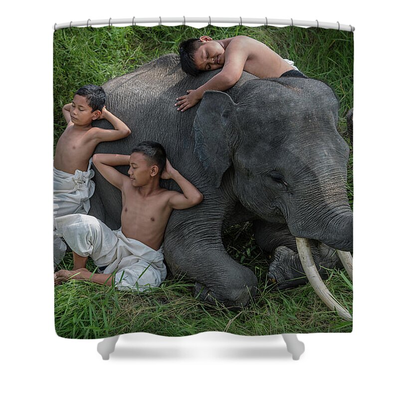 Boys Shower Curtain featuring the photograph Three boys taking a nap with their best friend, a juvenile asian elephant by Anges Van der Logt