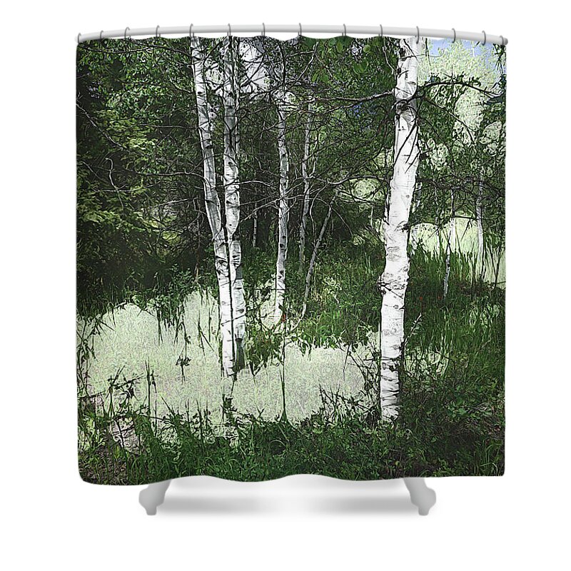 Colorado Shower Curtain featuring the digital art Three plus trees by Deb Nakano
