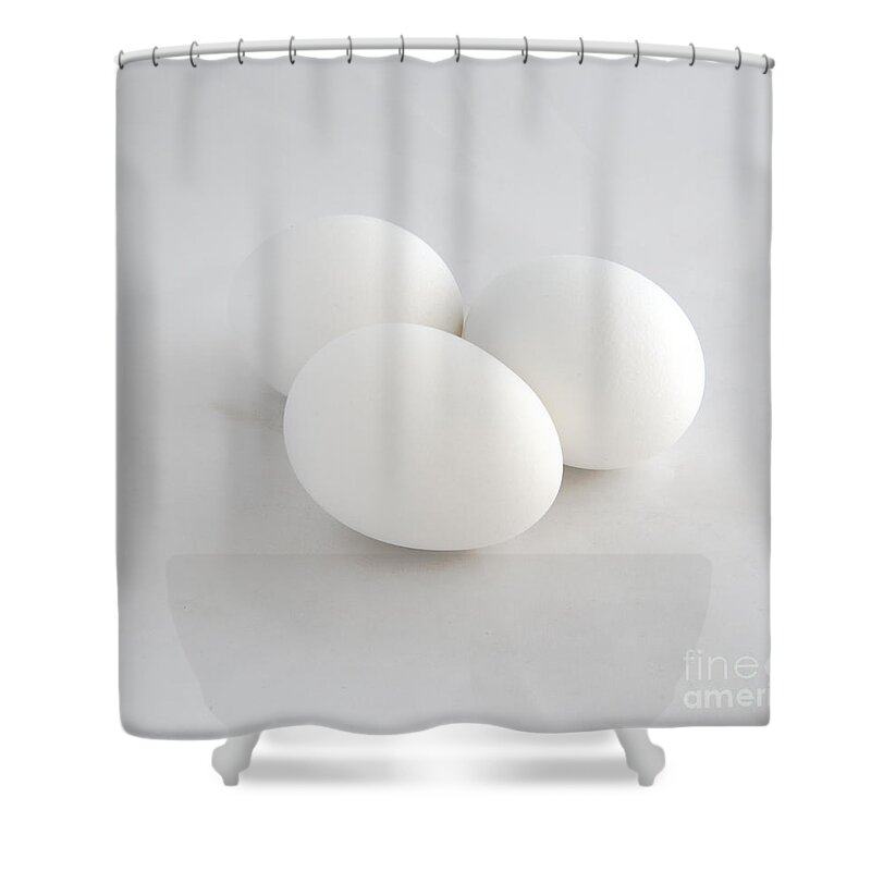 Eggs Shower Curtain featuring the photograph Three White Eggs by Kae Cheatham