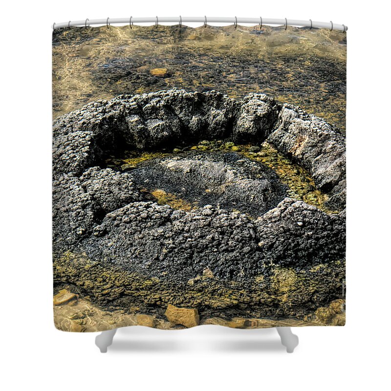 Stromatolites Shower Curtain featuring the photograph Thrombolite by Elaine Teague