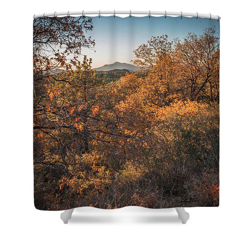 Nature Shower Curtain featuring the photograph Through it All 2 by Ryan Weddle